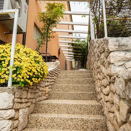 Jelka- Center Of Apartament